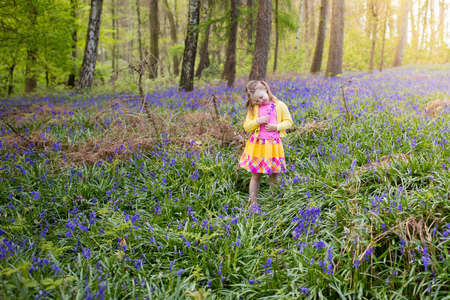 Child with bluebells. Little girl in pretty dress playing in beautiful spring forest with purple bluebell flowers. Kids hiking in park with blue bell flower meadow. Preschooler exploring nature.の写真素材