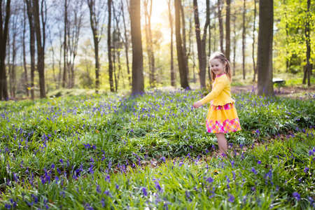 Child with bluebells. Little girl in pretty dress playing in beautiful spring forest with purple bluebell flowers. Kids hiking in park with blue bell flower meadow. Preschooler exploring nature.の写真素材