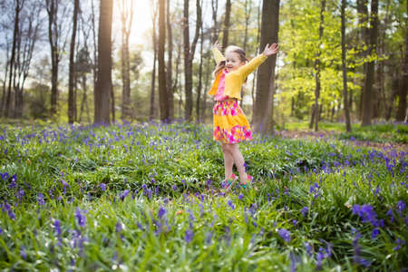 Child with bluebells. Little girl in pretty dress playing in beautiful spring forest with purple bluebell flowers. Kids hiking in park with blue bell flower meadow. Preschooler exploring nature.の写真素材