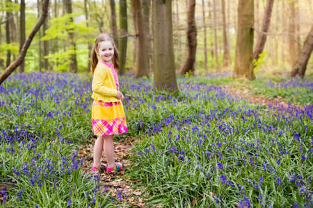 Child with bluebells. Little girl in pretty dress playing in beautiful spring forest with purple bluebell flowers. Kids hiking in park with blue bell flower meadow. Preschooler exploring nature.の写真素材