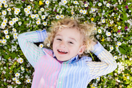 Child on green grass lawn with daisy and dandelion flowers on sunny summer day. Kid playing in...