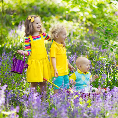 Kids with bluebell flowers, garden tools and wheelbarrow. Boy, girl and baby gardening. Children play outdoor in bluebells, work, plant and water blue bell flower bed. Family fun in summer forest.の写真素材
