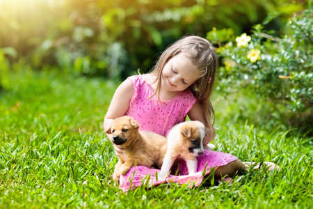 Kids play with cute little puppy. Children and baby dogs playing in sunny summer garden. Little girl holding puppies. Child with pet dog. Family and pets on park lawn. Kid and animals friendship.の写真素材
