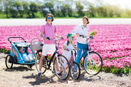 Happy Dutch family riding bicycle in tulip flower fields in Netherlands. Mother and kids on bikes at...