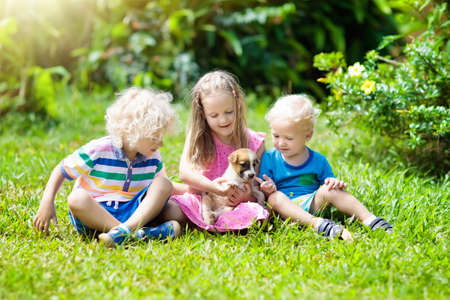 Kids play with cute little puppy. Children and baby dogs playing in sunny summer garden. Little girl holding puppies. Child with pet dog. Family and pets on park lawn. Kid and animals friendship.の写真素材