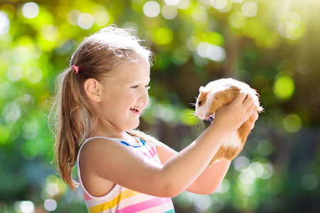 Child playing with guinea pig. Kids feed cavy animals. Little girl holding and feeding domestic animal. Children take care of pets. Preschooler kid petting hamster. Pet rodents. Trip to zoo or farm.の写真素材