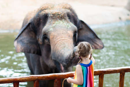 Family feeding elephant in zoo. Children feed Asian elephants in tropical safari park during summer vacation in Singapore. Kids watch animals. Little girl giving fruit to wild animal.の写真素材
