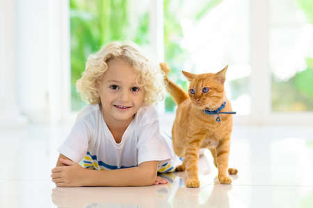 Child feeding cat at home. Kid and pet. Little blond curly boy playing with kitten in white kitchen...