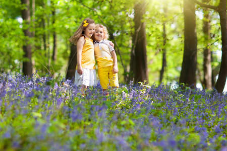 Kids running in bluebell woods. Children play in spring park with wild bluebell flowers. Boy and girl gardening. Garden plants on sunny day. Friends fun outdoor. Brother and sister pick flower bouquetの写真素材