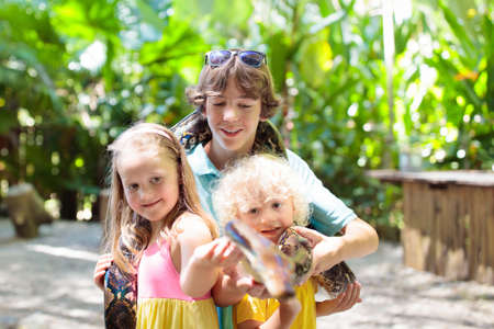 Kids holding python snake in tropical zoo. Children watching exotic reptile. Boy and girl with snakes on school trip to safari park. Brave kid learning to overcome fear and phobia. Rainforest animals.の写真素材