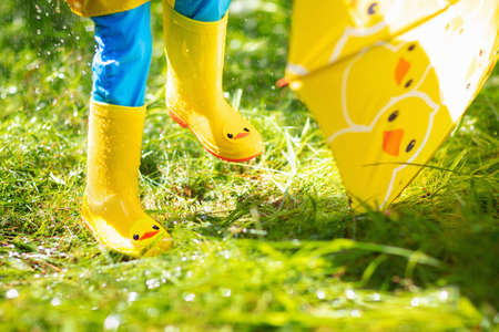 Child playing in the rain on sunny autumn day. Kid under heavy shower with yellow duck umbrella. Little boy with duckling waterproof shoes. Rubber wellies boots. Fall outdoor activity by rainy weatherの写真素材