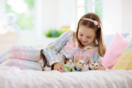 Child playing with baby cat on bed in white bedroom. Kid holding white kitten. Little girl in pajamas with cute pet animal at home. Kids play with cats. Children and domestic animals pets.の写真素材