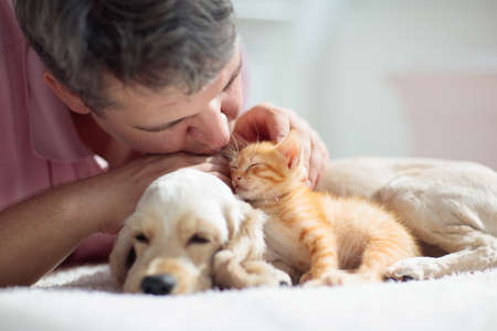 Cat and dog sleeping together next to a man. Kitten and puppy taking nap with owner. Home pets. Animal care. Love and friendship. Domestic animals.の写真素材