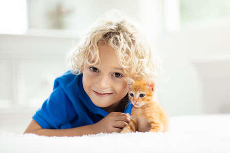 Child holding baby cat. Kids and pets. Little boy hugging cute little kitten at home. Domestic animal in family with kids. Children with pet animals.の写真素材