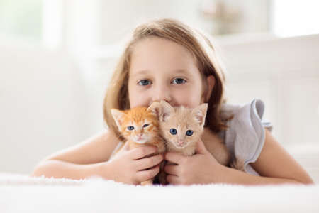 Child holding baby cat. Kids and pets. Little girl hugging cute little kitten at home. Domestic animal in family with kids. Children with pet animals.の写真素材