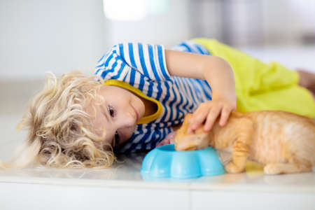 Child holding baby cat. Kids and pets. Little boy feeding cute little kitten at home. Domestic animal in family with kids. Children with pet animals.の写真素材