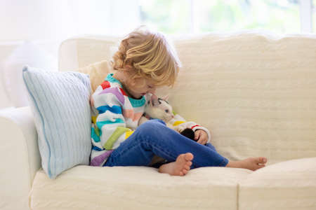 Child playing with cat. Kid holding kitten. Little boy snuggling cute pet animal sitting on couch in sunny living room at home. Kids play with pets. Children and domestic animals.の写真素材