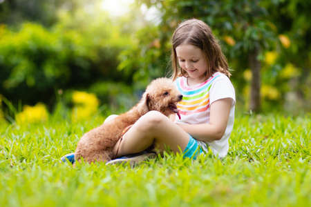 Kids play with cute little puppy. Children and baby dogs playing in sunny summer garden. Little girl holding puppies. Child with pet dog. Family and pets on park lawn. Kid and animals friendship.の写真素材