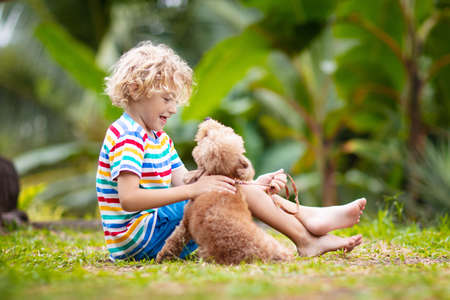 Kids play with cute little puppy. Children and baby dog playing in sunny summer garden. Little boy...