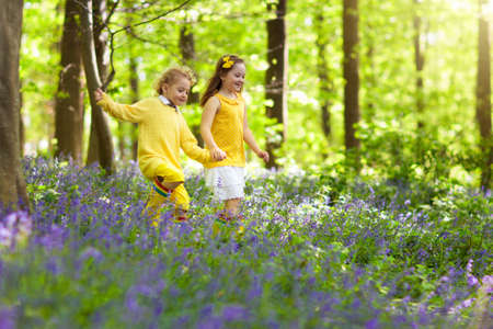 Kids running in bluebell woods. Children play in spring park with wild bluebell flowers. Boy and girl gardening. Garden plants on sunny day. Friends fun outdoor. Brother and sister pick flower bouquetの写真素材