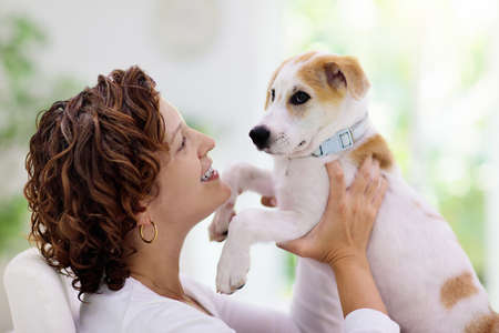 Woman playing with dog. Young woman with curly hair hugging puppy indoors. Family with pet at home. Fun with domestic animal. Love and friendship with pets.の写真素材