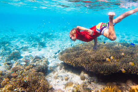 Child snorkeling. Kids swim underwater. Beach and sea summer vacation with children. Little girl watching coral reef fish. Marine life on exotic island. Kid swimming and diving with snorkel and mask.の写真素材