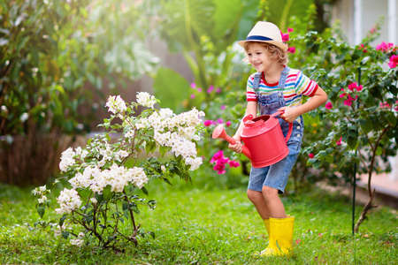 Child gardening. Little boy with red watering can in blooming sunny garden. Kids help in backyard. Summer outdoor fun. Kid taking care of plants and flowers.の写真素材