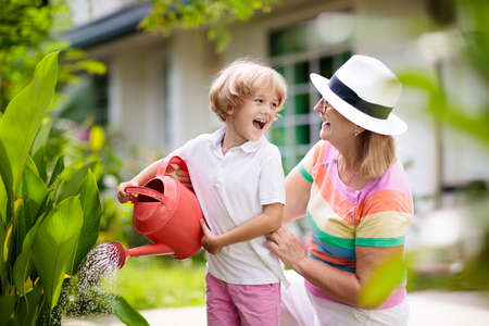 Woman and child gardening. Grandmother and little boy in sun hat watering garden plants and flowers. Kids work in beautiful sunny blooming backyard. Family outdoor hobby and healthy activity.の写真素材