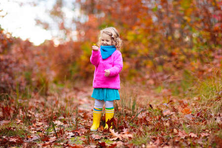 Kids play in autumn park. Family fun in fall season. Little girl picking golden leaves and acorns in the woods. Child playing sunny garden. Children outdoor.の写真素材