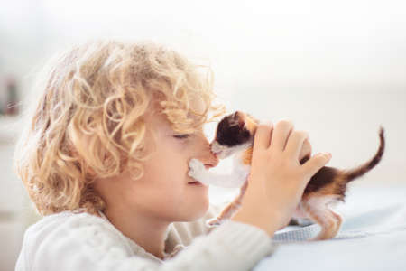 Child playing with baby cat. Little boy looking at newborn kitten. Kids and animals friendship, love and care. Children play with pet. Cute kitty in white sunny home.の写真素材