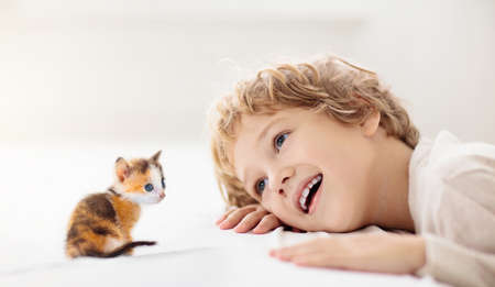 Child playing with baby cat. Little boy looking at newborn kitten. Kids and animals friendship, love and care. Children play with pet. Cute kitty in white sunny home.の写真素材