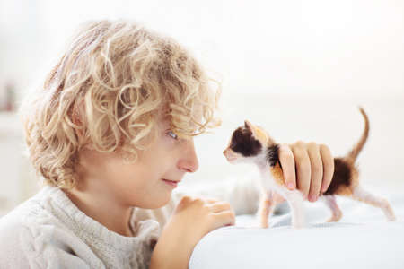Child playing with baby cat. Little boy looking at newborn kitten. Kids and animals friendship, love and care. Children play with pet. Cute kitty in white sunny home.の写真素材