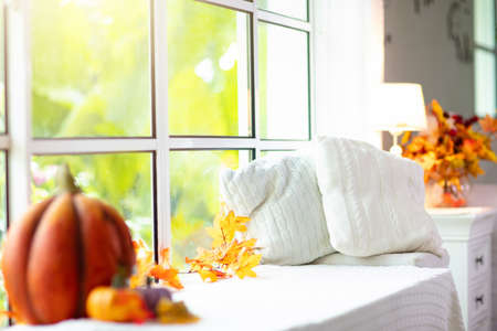 Window sill with blanket and knitted pillow for Thanksgiving or Halloween season. Autumn home decoration. Pumpkin and golden colorful leaves decorated windowsill. Cozy hygge interior.の写真素材