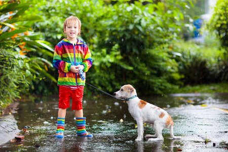 Kid and dog playing in the rain in autumn park. Child walking puppy. Little boy jumping in muddy puddle on rainy fall day. Rain boots and jacket, outdoor wear. Kids waterproof footwear and coat.の写真素材