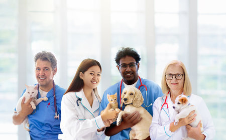 Vet examining dog and cat. Group of veterinarian doctors with puppy and kitten at animal clinic. Interracial team of health workers. Pet check up and vaccination. Health care for dogs and cats.の写真素材