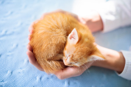Kitten sleeping in man hands. Cozy sleep and nap time with pets. Pet owner and his pet. Ginger baby cat relaxing. Animal love.の写真素材