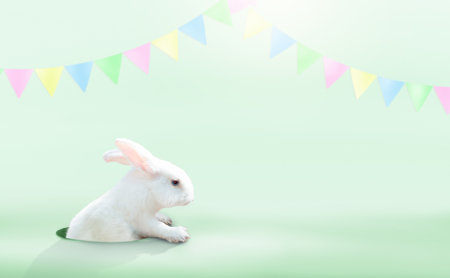 Cute Easter bunny on blue background. Rabbit looking out of a hole. Spring season greeting. Easter egg hunt invitation.の写真素材