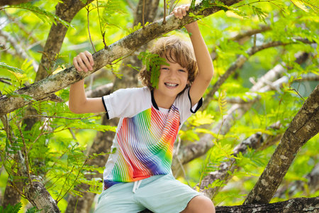 Boy climbing tree in summer park. Kids explore nature. Wild child having fun in forest. Young explorer playing outdoor. Children play and climb trees. Healthy outdoor activity in sunny garden.の写真素材