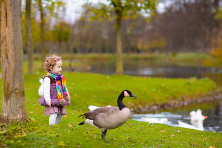Happy children playing in beautiful autumn park on warm sunny fall day. Kids play with golden maple leaves.の写真素材