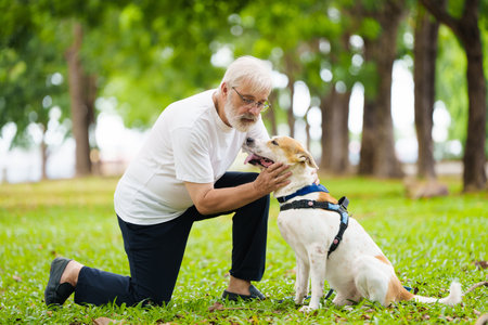 Senior man walking his dog. Active retirement. Man playing with puppy in sunny summer park. Retired man and his pet. Love and friendship.の写真素材