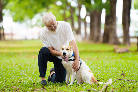 Senior man walking his dog. Active retirement. Man playing with puppy in sunny summer park. Retired man and his pet. Love and friendship.の写真素材