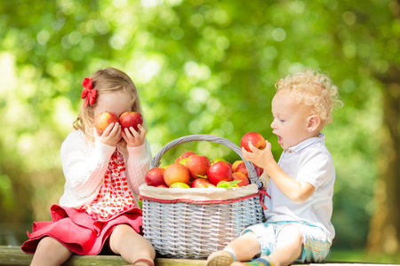 Child picking apples on a farm in autumn. Little girl playing in apple tree orchard. Kids pick fruit in a basket. Toddler eating fruits at fall harvest. Outdoor fun for children. Healthy nutrition.の写真素材