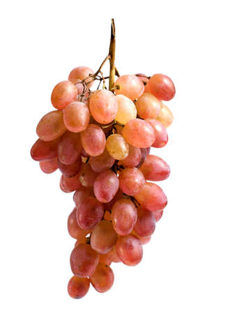 Brush a light wine on a white backgroundの写真素材