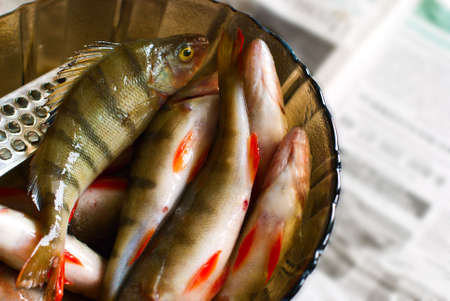 plate with  raw fish cooked for frying の写真素材