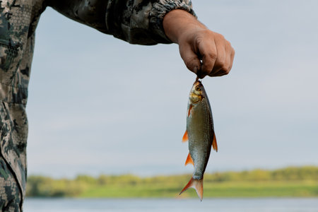Fisherman holding fish on fishing line in hand on riverbank, close up. Small ide (Leuciscus idus) in...