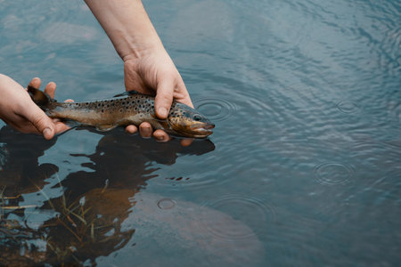 Trout in male hands over water, side view. Fisherman holding one live salmon in river