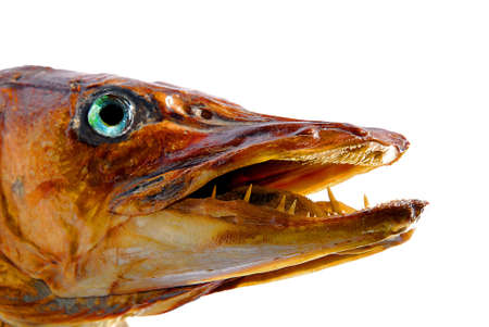 Pike head preparationの写真素材