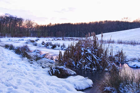 winterly natural landscape with small river at dawnの写真素材