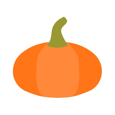 Hand drawn illustration of autumn pumpkin. Isolated element on white background. Harvesting.のイラスト素材