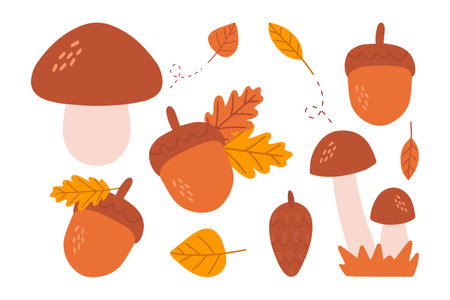 Autumn leaves, mushrooms and acorns set isolated on a white background. Simple cartoon flat style, vector illustration.のイラスト素材